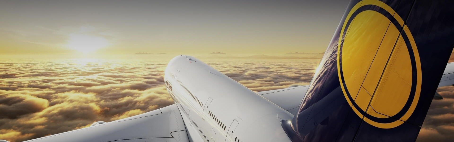 ���պ���